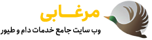مرغابی