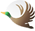 مرغابی