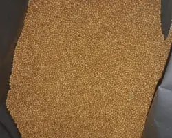 خوراک ماهی کپور آغازین دو
