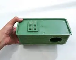 لانه مرغ عشق