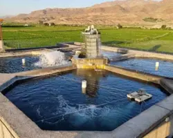 استخر پرورش   ماهی قزل آلا داوودی