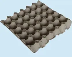 شانه تخم مرغ