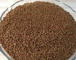 خوراک اکسترود ماهی قزل آلا EXSFT1