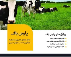 پارس باف