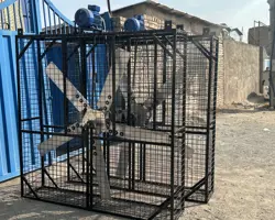 فن و پنکه صنعتی سقفی و ایستاده همراه با مه پاش( از سایز دو متر تا شش متری)