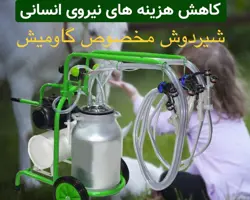 گاومیش دوش (شیردوش گاومیش)