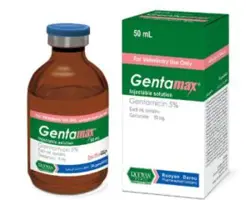 جنتا20 سی سی نصر