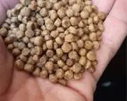 خوراک اکسترود ماهی کپور EXGSFC2(A)cp 30-32