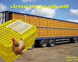 قفس حمل مرغ زنده 