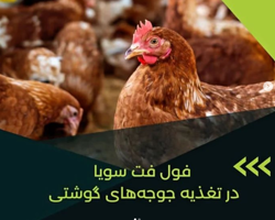 فول فت سویا ( اکسترود شده )