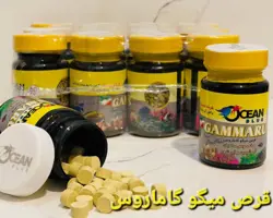 قرص میگو گاماروس