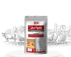 ویواشِل