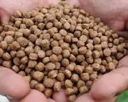 خوراک اکسترود ماهی قزل آلا EXGFT2 (ویژه)