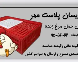 قفس حمل مرغ _ قفس مرغ عراقی _ جعبه مرغی 