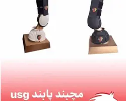 مچبند و پابند اسب  Usg