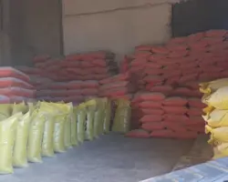 کنسانتره دام شیری 22 درصد پروتئین
