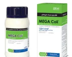 مگاکولی