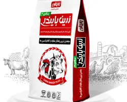 زرین بایندر پلاس