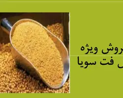 فروش ویژه فول فت سویا