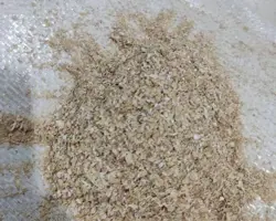 سبوس گندم معقول 