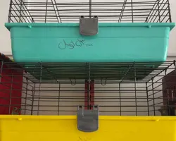قفس همستر وخوکچه هندی و موش