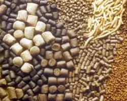 مکمل مرغ گوشتی ویژه کاوش دانه