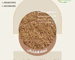 کنجاله آفتابگردان