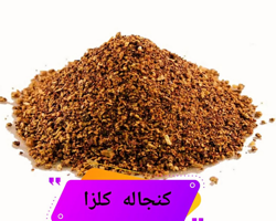 کنجاله کلزا