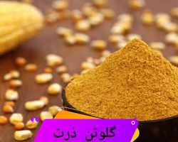گلوتن ذرت