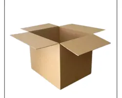 کارتن تخم مرغ