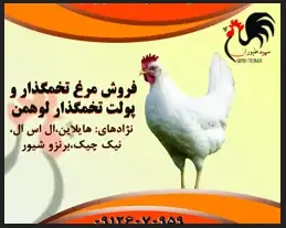 تصویر شماره 1 محصول 