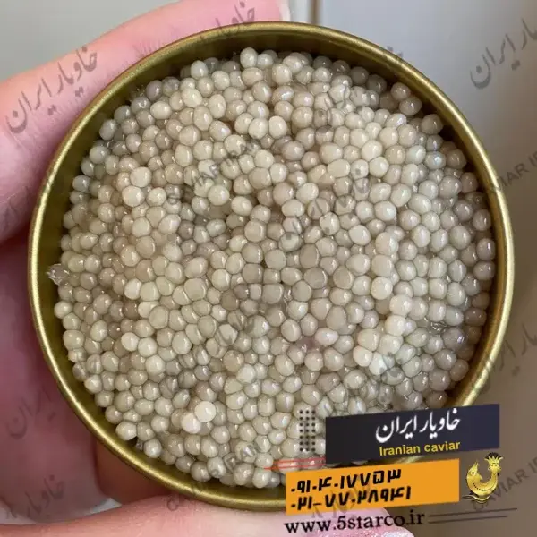 تصویر شماره 3 محصول 