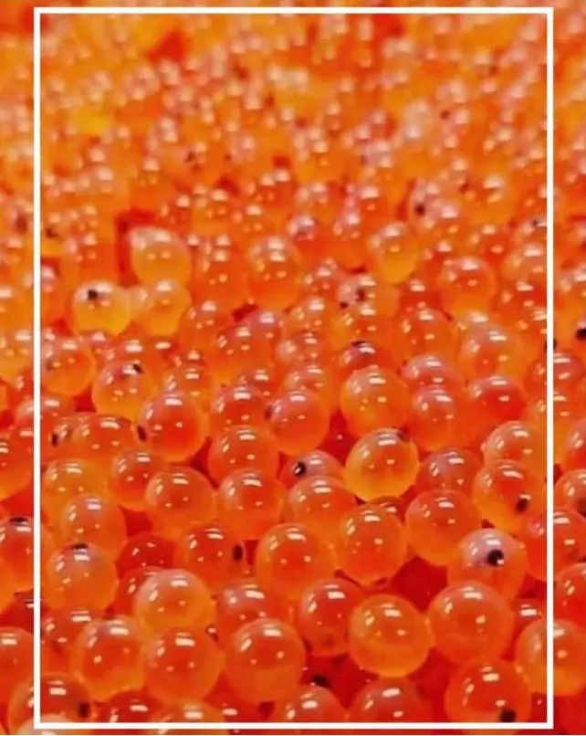تصویر شماره 1 محصول 