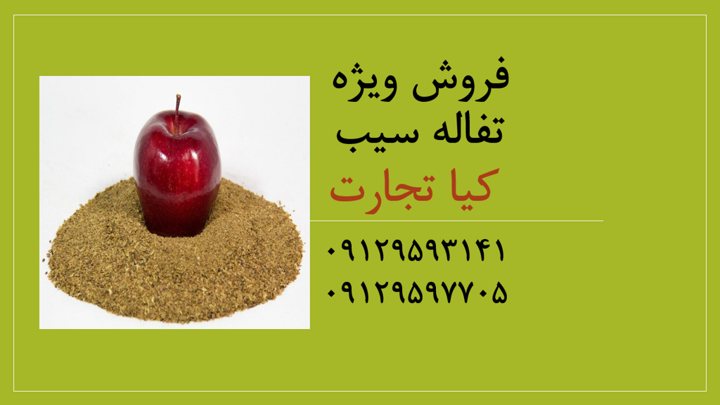 تصویر شماره 1 محصول 