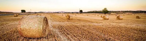 تصویر شماره 1 محصول 
