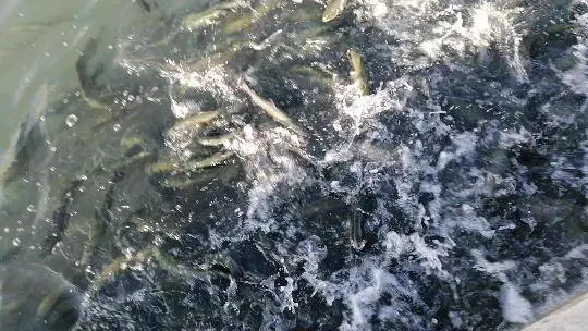تصویر شماره 1 محصول 