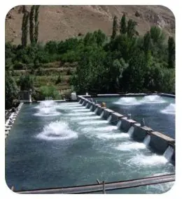 تصویر شماره 2 محصول 