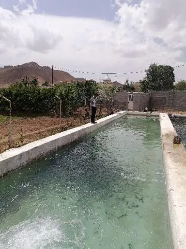 تصویر شماره 1 محصول 