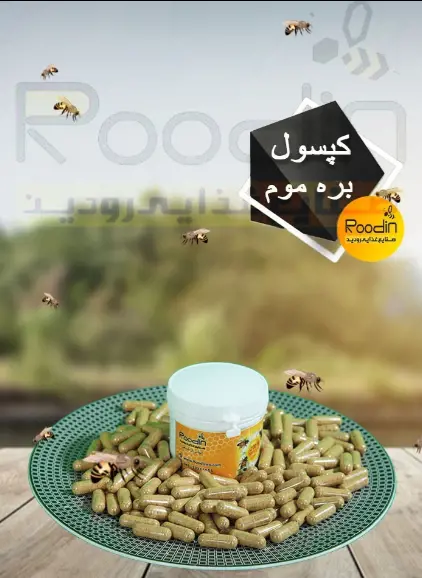 تصویر شماره 1 محصول 