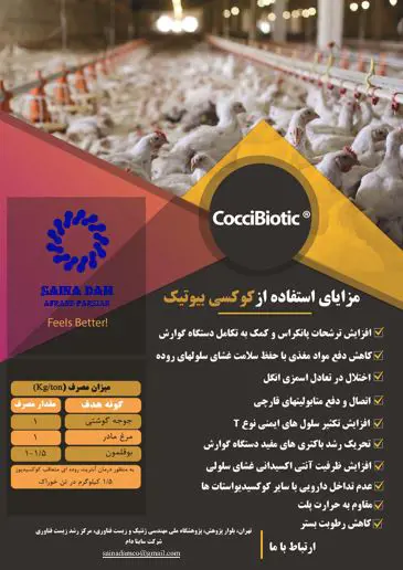 تصویر شماره 1 محصول 