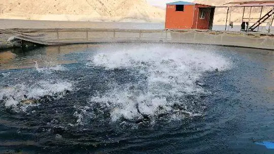 تصویر شماره 2 محصول 