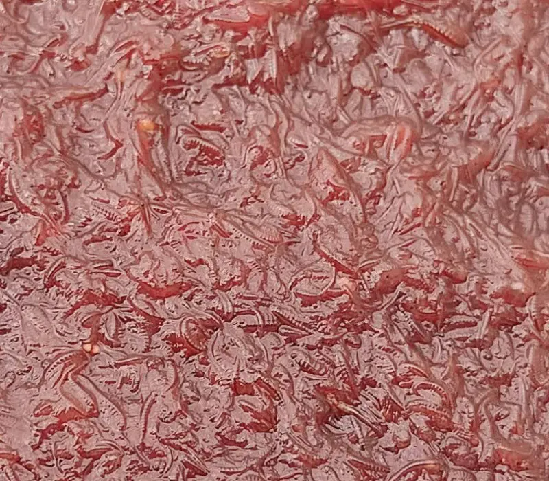 تصویر شماره 2 محصول 