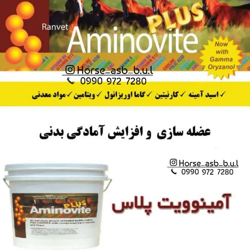 تصویر شماره 1 محصول 