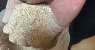 تصویر شماره 3 محصول 