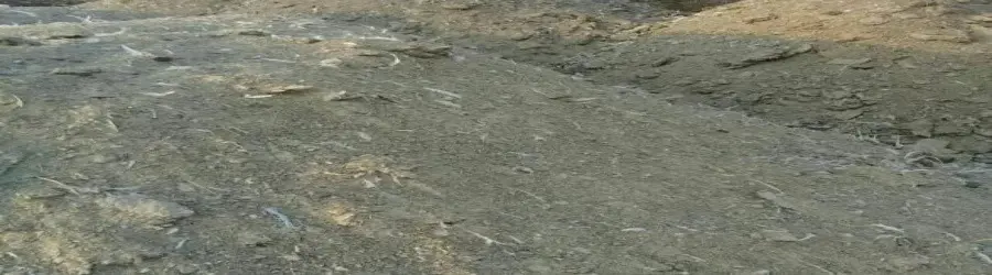 تصویر شماره 1 محصول 
