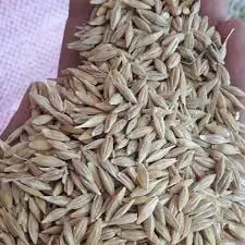 تصویر شماره 1 محصول 