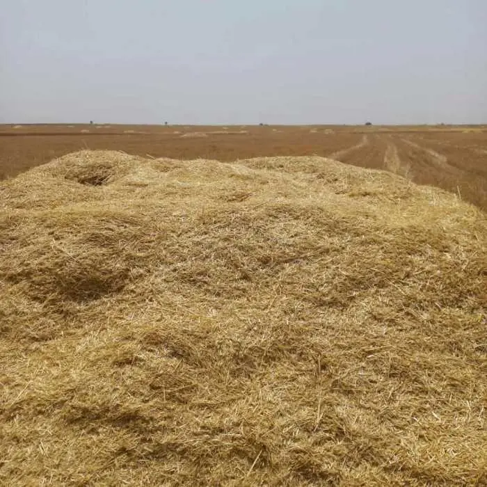 تصویر شماره 1 محصول 