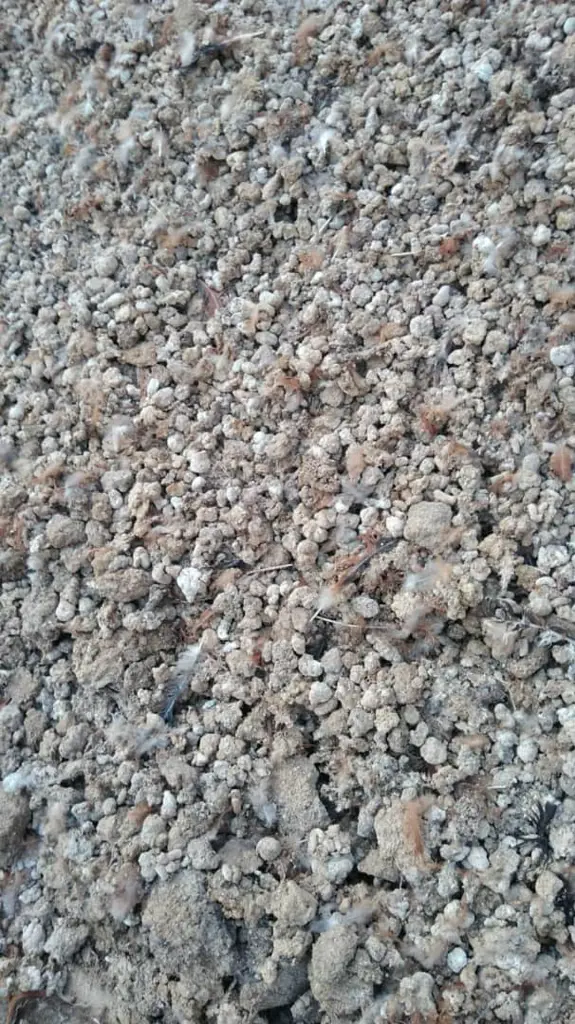 تصویر شماره 1 محصول 
