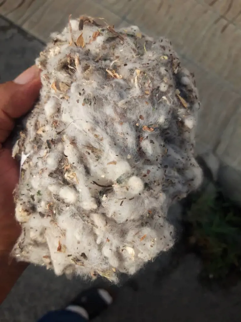 تصویر شماره 3 محصول 