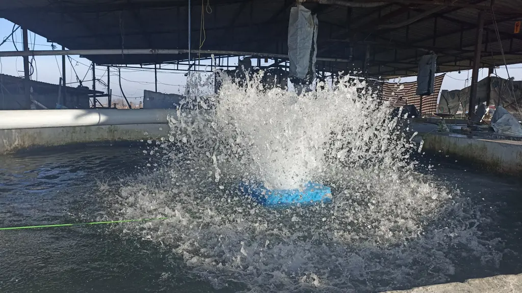 تصویر شماره 4 محصول 